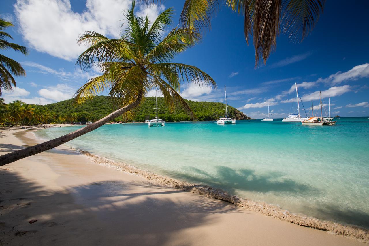 Salt Whistle Bay Retreat Hotell Mayreau Island Eksteriør bilde